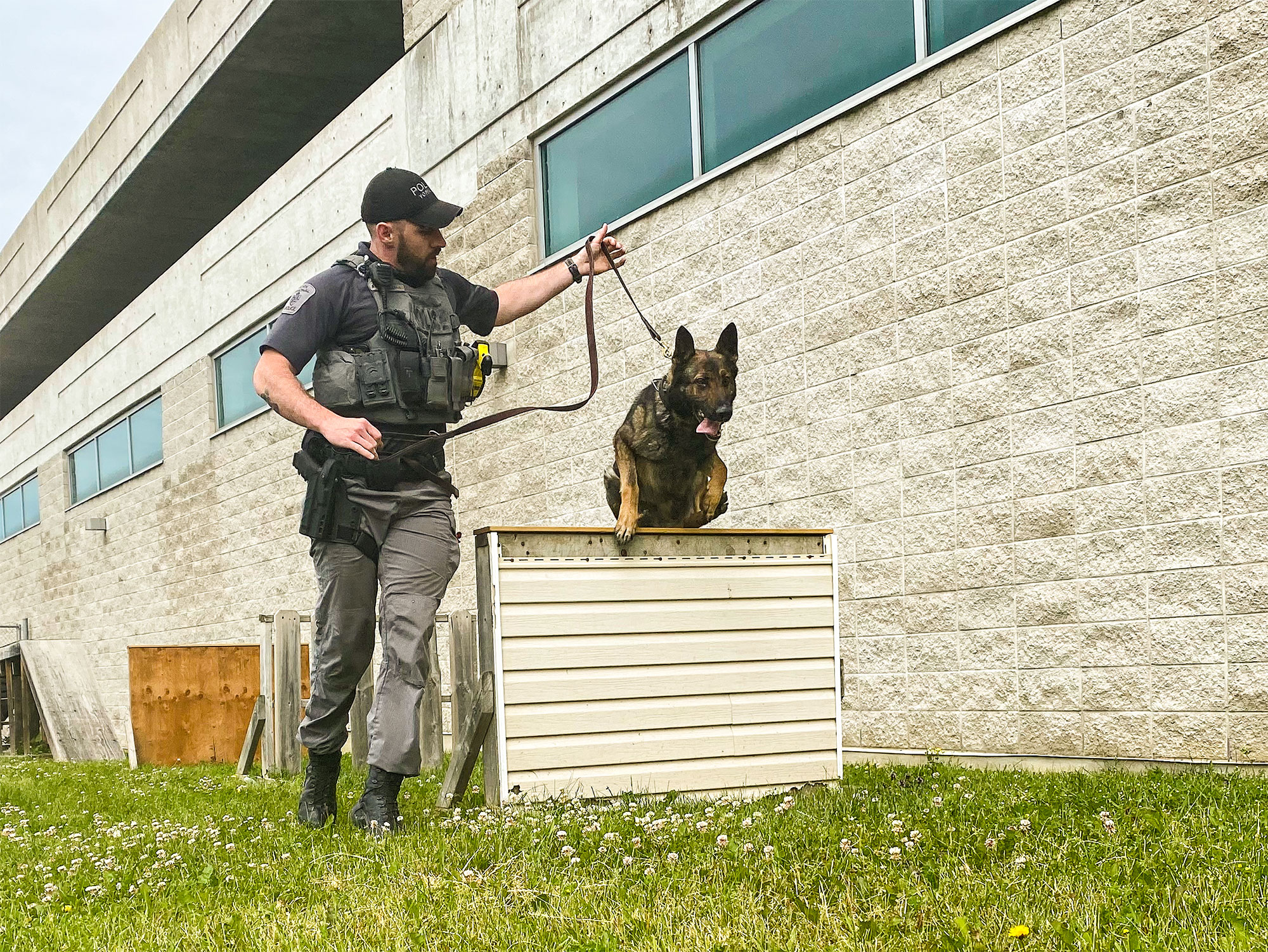 A male canine officer leading his dog over a jump