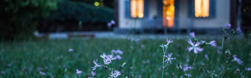 A front yard in twilight