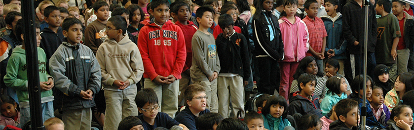 A group of school children