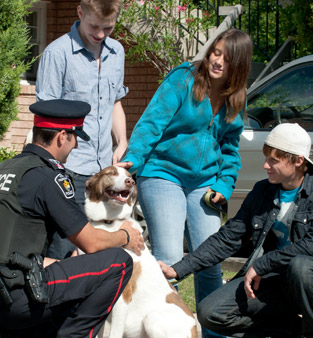 Distribution of free signal-blocking pouches in York Region a