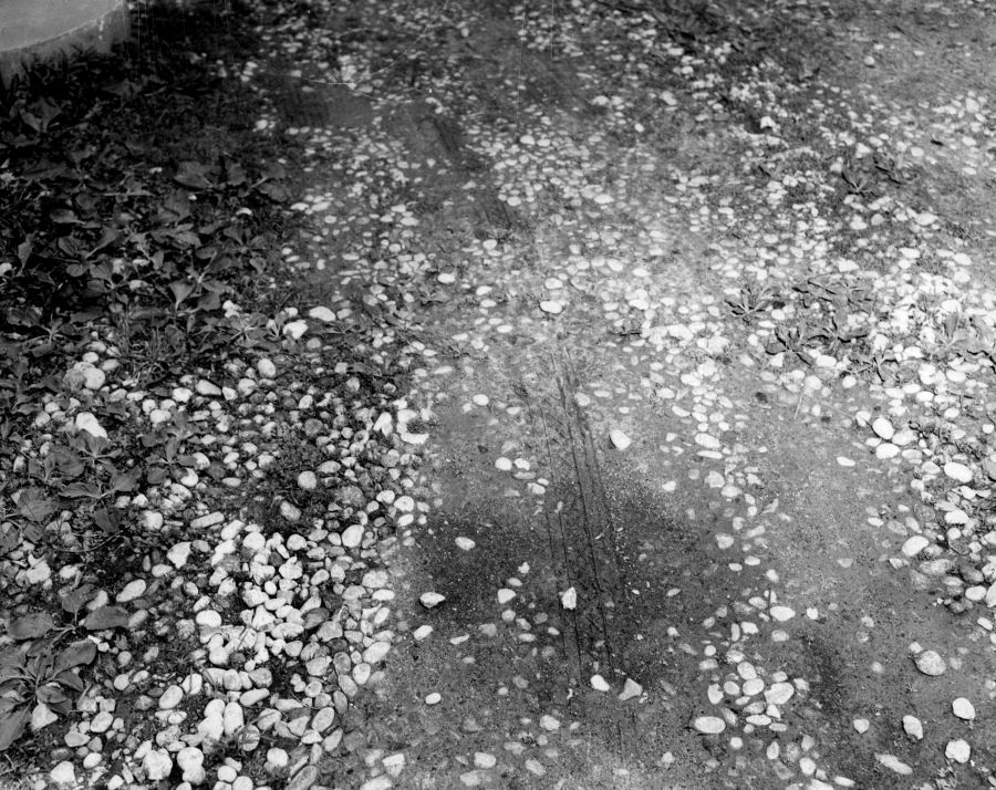 Fresh tire tracks found by police outside of William's snack bar.