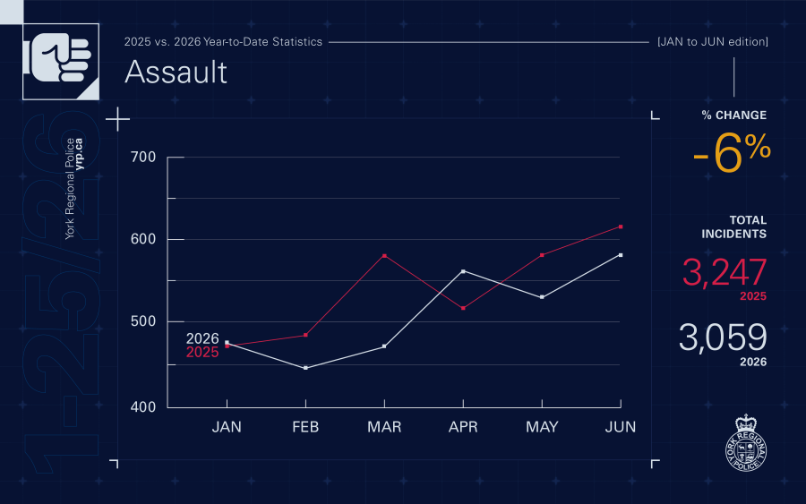 Assault Stats - 2026