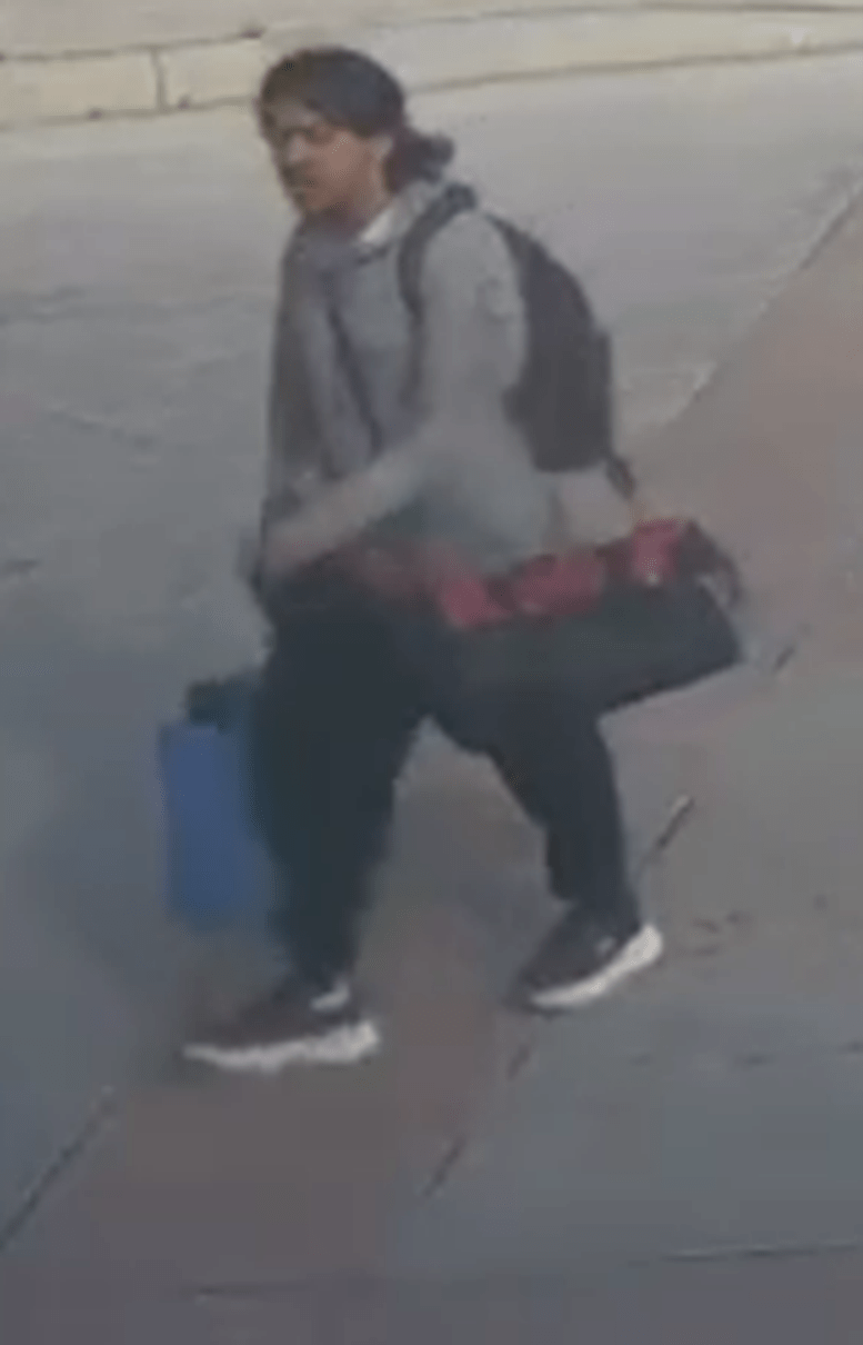 suspect