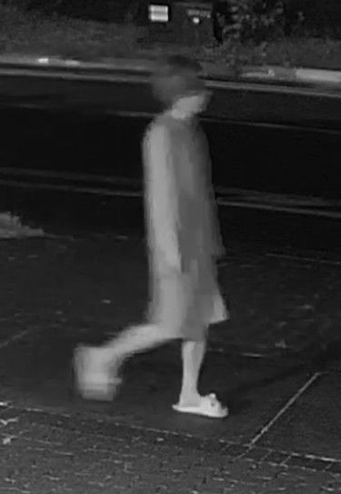 Suspect