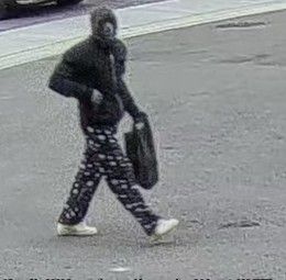 suspect