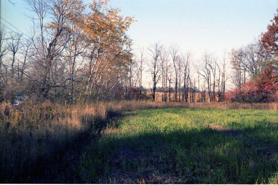 Crime scene photo of area where Benita Tarantino's body was found in 1985.