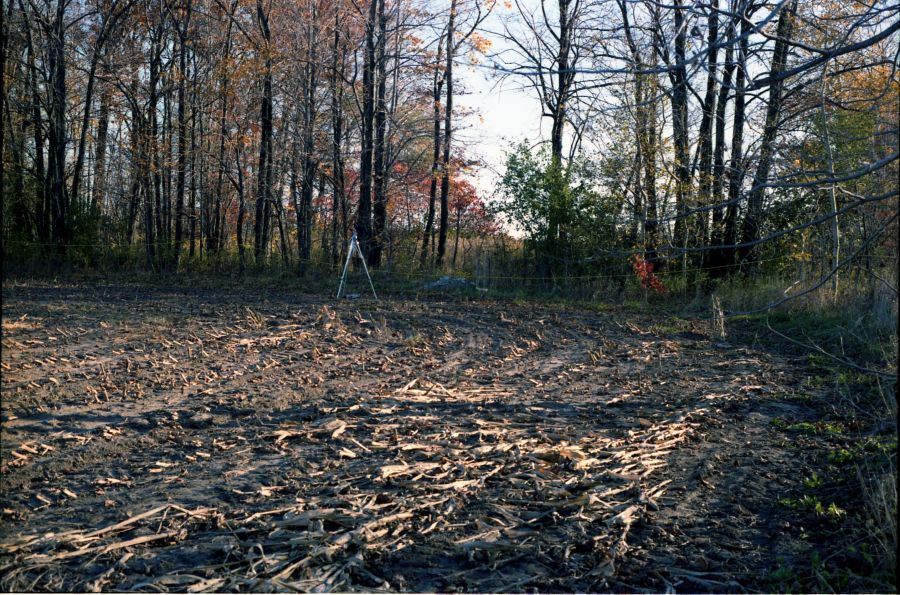 Crime scene photo of area where Benita Tarantino's body was found in 1985.