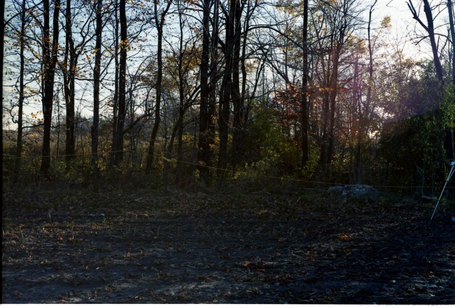 Crime scene photo of area where Benita Tarantino's body was found in 1985.