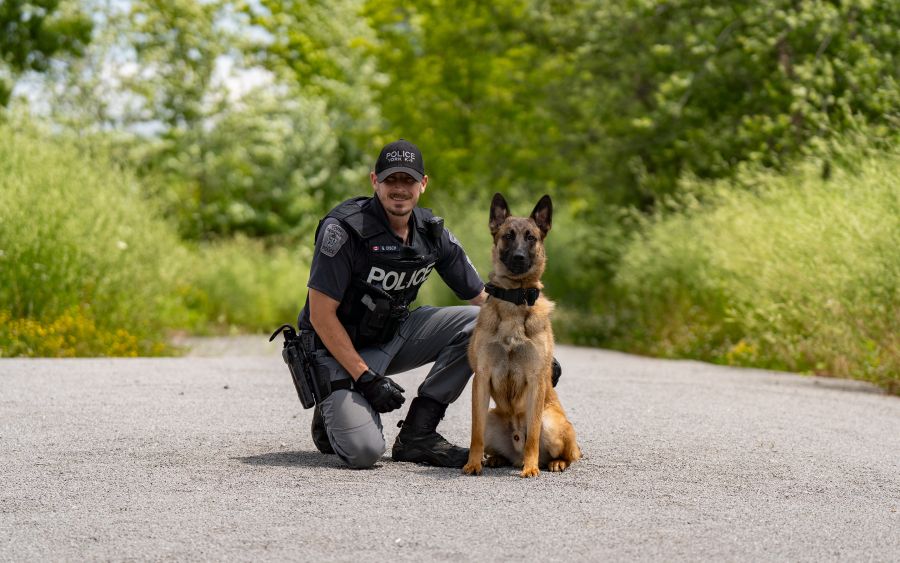 A police officer kneels next to a police canine in a park.