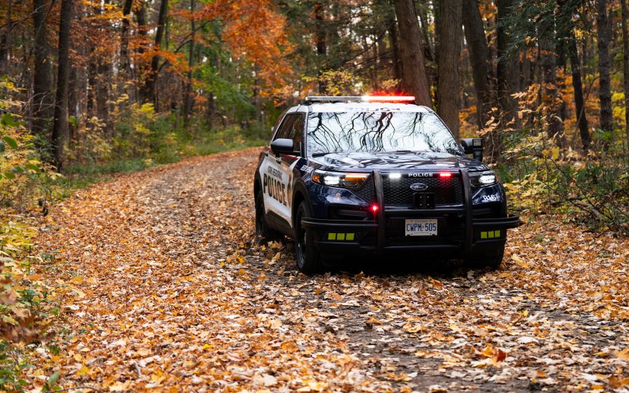 York Regional Police cruiser in forest in autumn surrounded by fallen leaves.