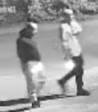 Suspects