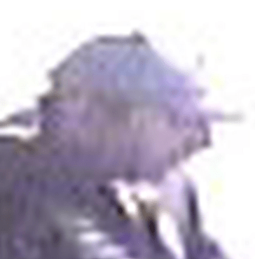 Suspect 2