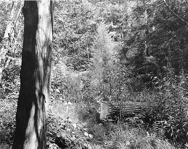 Photo5