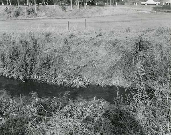 Photo3