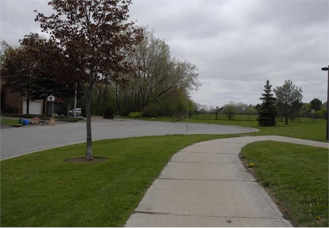 Photo1