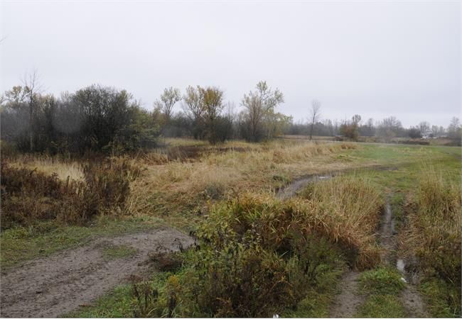 Photo4