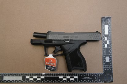 Firearm1