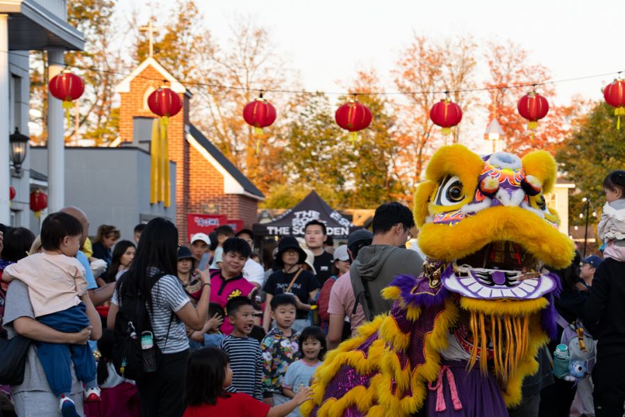 Photo from Mid-Autumn Festival with lanterns and lion