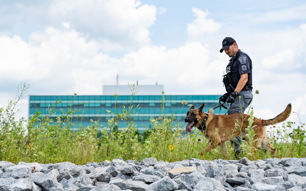 A man in a police uniform walks next to a large dog