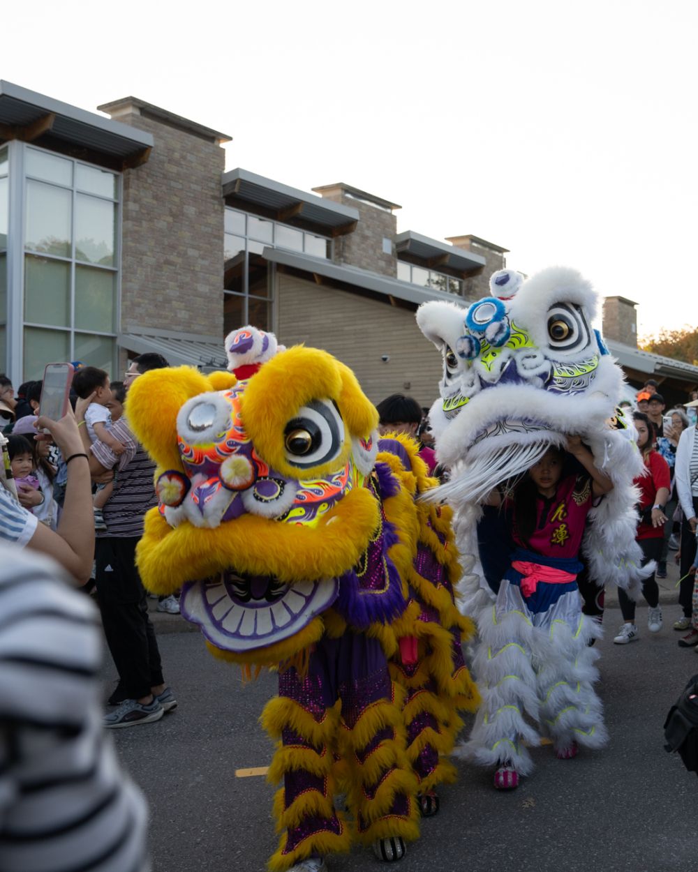 Mid Autumn Festival lion dancers