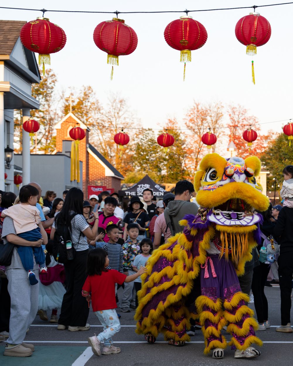 Photo from Mid-Autumn Festival with lanterns and lion